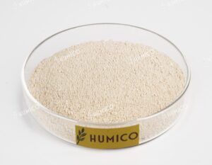 Humico Chitosan Powder Color Appearance
