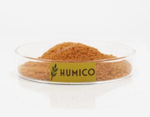 Humico Fish Protein Powder Yellow Color Appearance