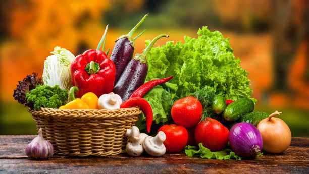 Uses of Amino Acid Powder for Plants