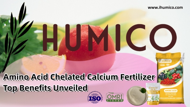 Amino Acid Chelated Calcium Fertilizer Top Benefits Unveiled