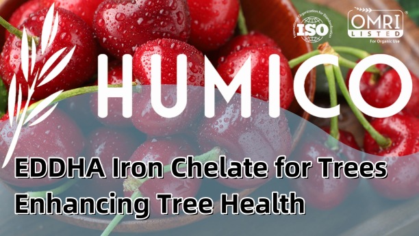 EDDHA Iron Chelate for Trees Enhancing Tree Health - HUMICO - Planting Cherry
