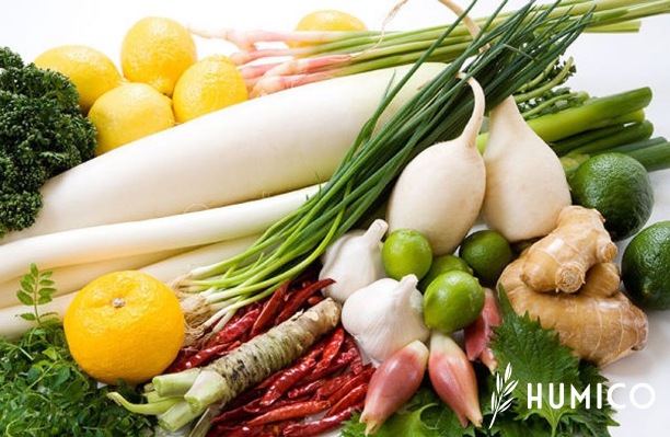 EDTA Micronutrient Chelate Fertilizer Enhancing Crop Health - HUMICO Fruits