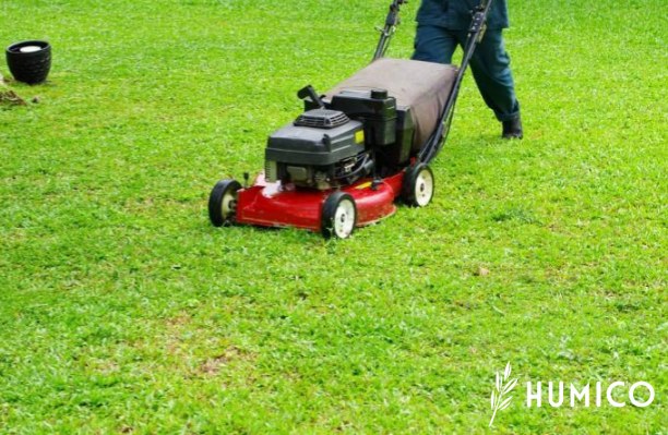 Granular Humic Acid for Lawns Benefits & Application Guide - HUMICO