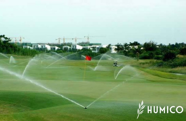 Granular Humic Acid for Lawns Benefits & Application Guide - HUMICO