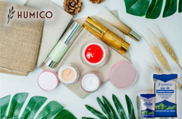 Exploring the Potential of Chitosan Oligosaccharide Uses - HUMICO - Cosmetics Industry