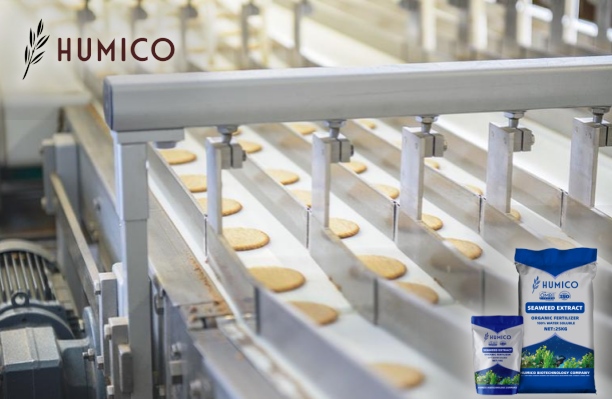 Exploring the Potential of Chitosan Oligosaccharide Uses - HUMICO - Food Processing Industry