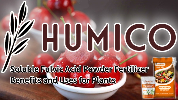 Soluble Fulvic Acid Powder Fertilizer Benefits and Uses for Plants - Humico - Planting Cherry