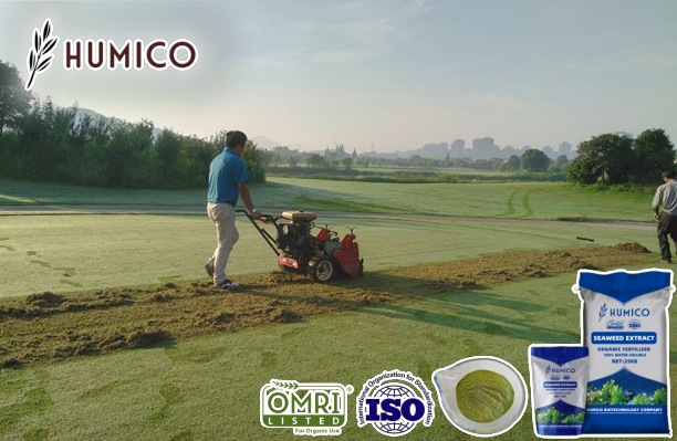 Humico -Benefits of Seaweed Extract for Lawns Green Lawn Boost