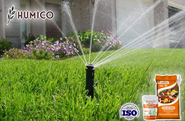 Understanding Fulvic Acids for Lawn Care A Comprehensive Guide - Humico