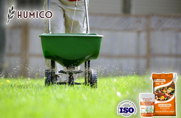 Understanding Fulvic Acids for Lawn Care A Comprehensive Guide - Humico