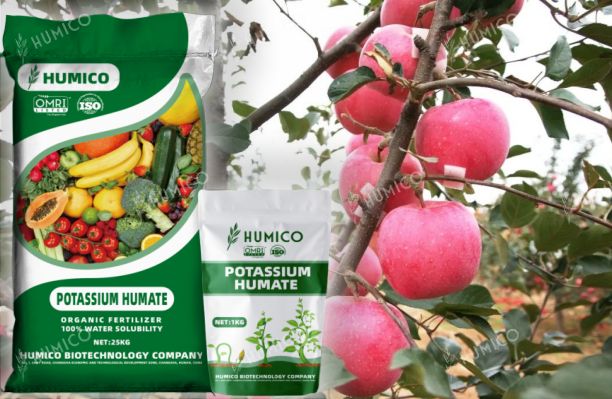 Humico Potassium Humate - Organic Fertilizer for Apple Trees