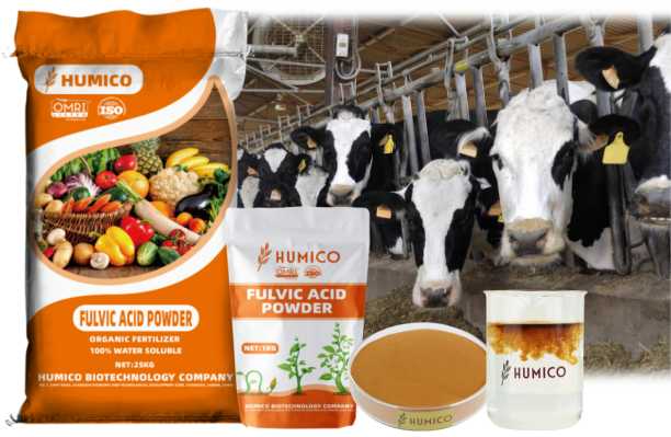 Humico Benefits for Fulvic Acid Animal Feed Dairy Cow - Certificated China Animal Feed and Agriculture Organic Fertilizer Manufacturer