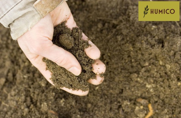 Humico - How to Test What Fertilizer Is the Best for Your Soil in Laboratory