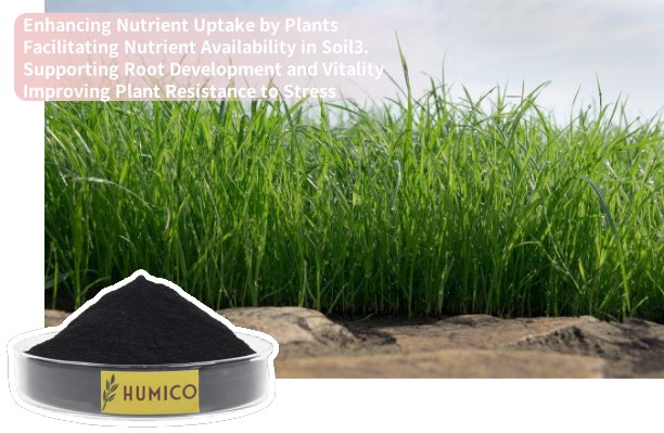 Axit Humic có tác dụng gì đối với cây trồng? Cải thiện sức khỏe đất và ...