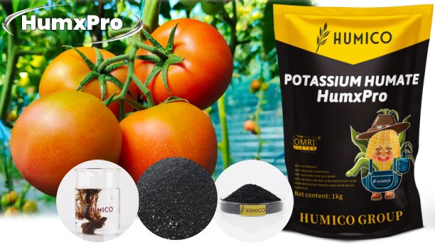 Humico - What is A Low Nitrogen Fertilizer